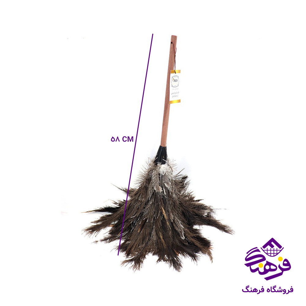 گردگیر شترمرغ متوسط