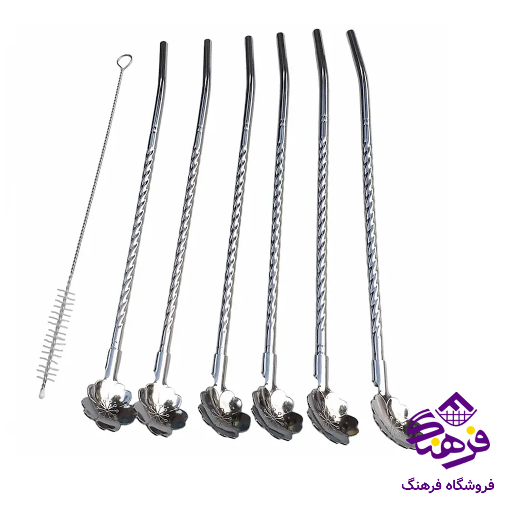 نی شربت استیل 6 عددی