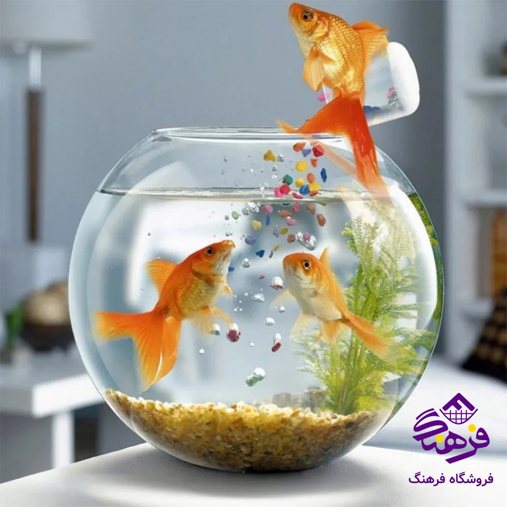 تنگ میلاد فله کاوه (24دک)