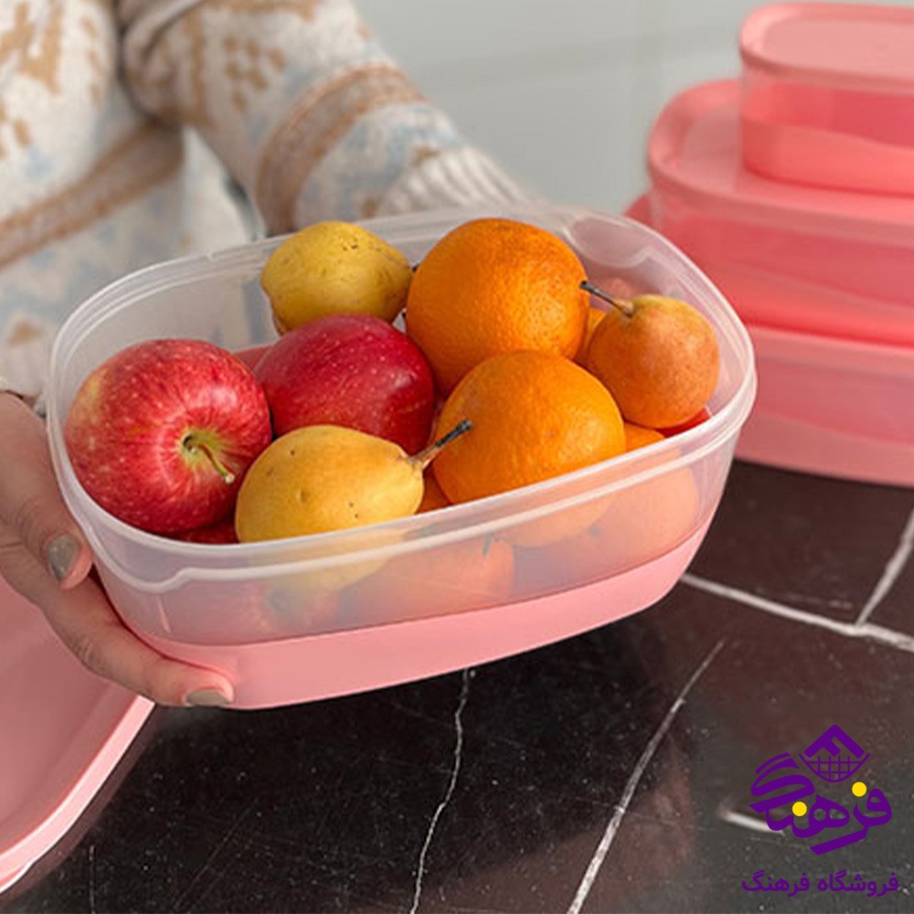 ظرف نگهدارنده 4 خانه بزرگ لیمون