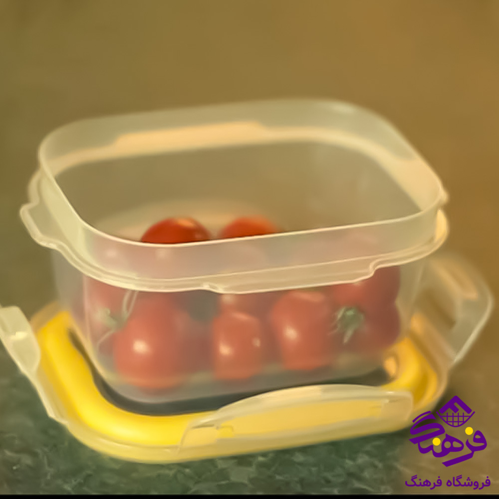 ظرف نگهدارنده 4 خانه بزرگ لیمون