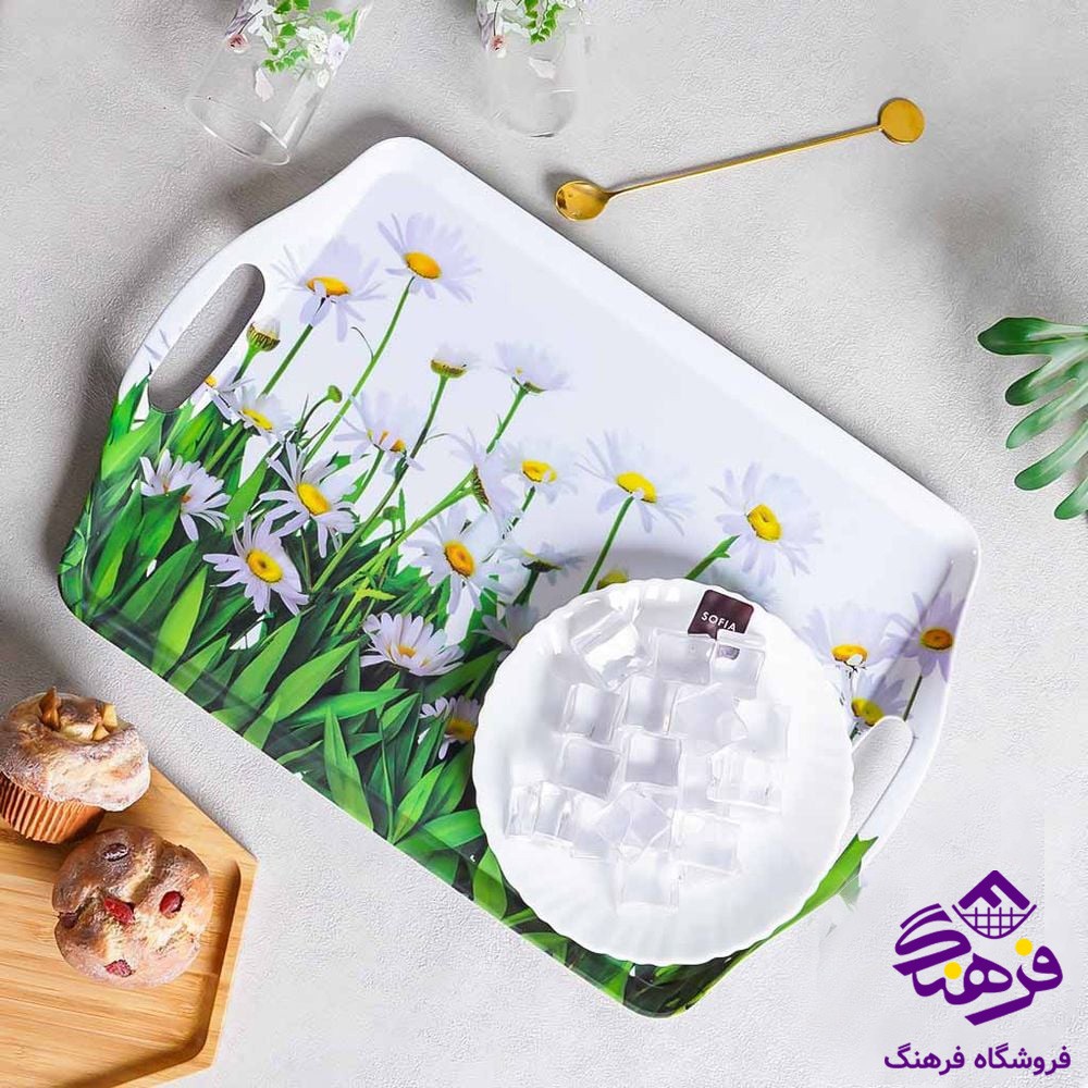 سینی زیبا پیش پاش 2 طرحدار گرد