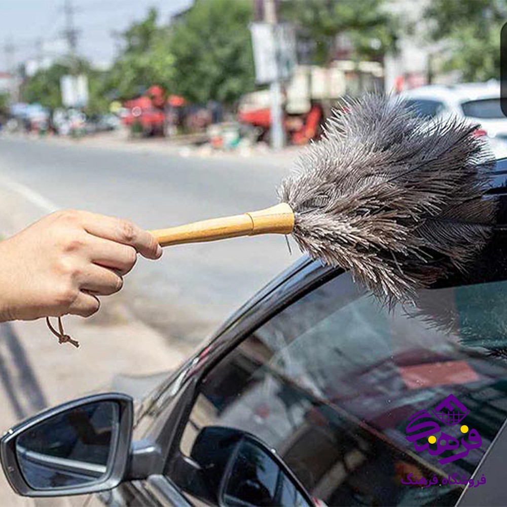 گردگیر شترمرغ متوسط