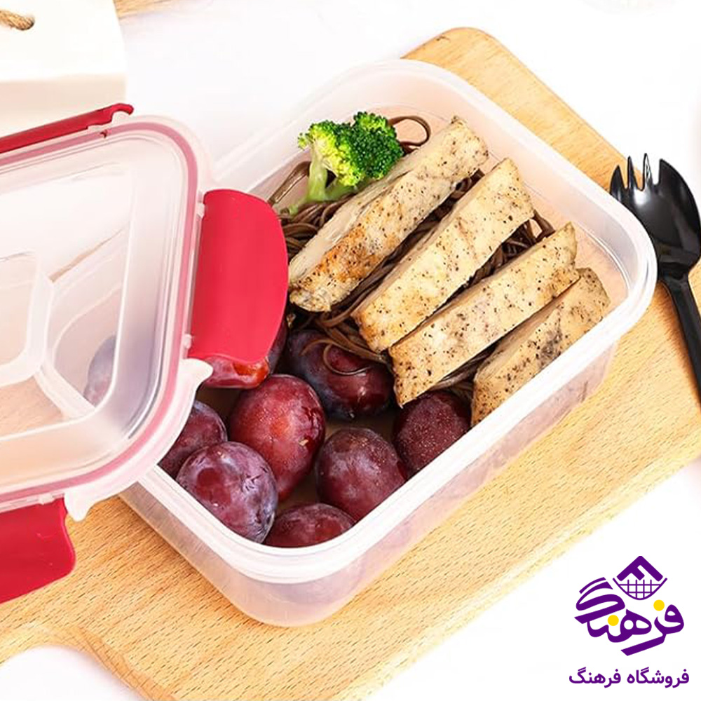 فريزري زيبا گاپانا مستطيل 650